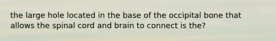 the large hole located in the base of the occipital bone that allows <a href='https://www.questionai.com/knowledge/kkAfzcJHuZ-the-spinal-cord' class='anchor-knowledge'>the spinal cord</a> and brain to connect is the?