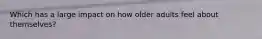 Which has a large impact on how older adults feel about themselves?