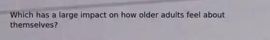 Which has a large impact on how older adults feel about themselves?