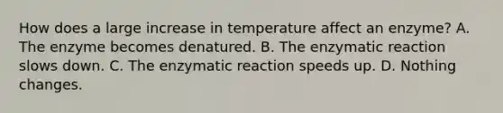 How does a large increase in temperature affect an enzyme? A. The enzyme becomes denatured. B. The enzymatic reaction slows down. C. The enzymatic reaction speeds up. D. Nothing changes.