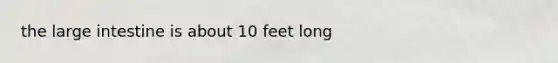 the large intestine is about 10 feet long
