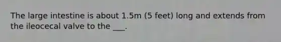 The <a href='https://www.questionai.com/knowledge/kGQjby07OK-large-intestine' class='anchor-knowledge'>large intestine</a> is about 1.5m (5 feet) long and extends from the ileocecal valve to the ___.