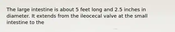 The large intestine is about 5 feet long and 2.5 inches in diameter. It extends from the ileocecal valve at the small intestine to the