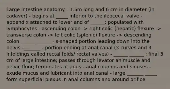 Large intestine anatomy - 1.5m long and 6 cm in diameter (in cadaver) - begins at _____ inferior to the ileocecal valve - appendix attached to lower end of ______; populated with lymphocytes - ascending colon -> right colic (hepatic) flexure -> transverse colon -> left colic (splenic) flexure -> descending colon ______ ______ - s-shaped portion leading down into the pelvis -_______ - portion ending at anal canal (3 curves and 3 infoldings called rectal folds/ rectal valves) - ______ ______ : final 3 cm of large intestine; passes through levator animuscle and pelvic floor; terminates at anus - anal columns and sinuses - exude mucus and lubricant into anal canal - large _______ _____ form superficial plexus in anal columns and around orifice