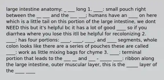 large intestine anatomy: _ ___ long 1. ____: small pouch right between the __ ___ and the ___ ___; humans have an ____ on here which is a little tail on this portion of the large intestine, we dont NEED this but it's helpful bc it has a lot of good ____ so if you diarrhea where you lose this itll be helpful for recolonizing 2. ____: has four portions: ____, ____, ____, and ____ segments, whole colon looks like there are a series of pouches these are called ____: work as little mixing bags for chyme 3. ____: terminal portion that leads to the ___ __ and ___ - _____ ____: ribbon along the large intestine, outer muscular layer, this is the _____ layer of the ____ ____