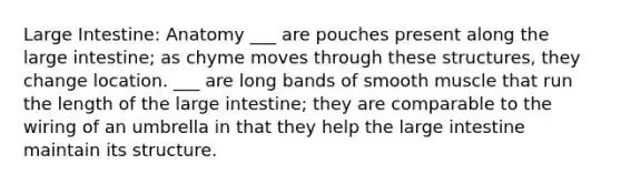 Large Intestine: Anatomy ___ are pouches present along the large intestine; as chyme moves through these structures, they change location. ___ are long bands of smooth muscle that run the length of the large intestine; they are comparable to the wiring of an umbrella in that they help the large intestine maintain its structure.