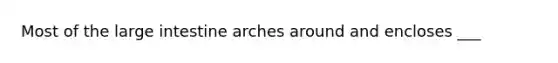 Most of the <a href='https://www.questionai.com/knowledge/kGQjby07OK-large-intestine' class='anchor-knowledge'>large intestine</a> arches around and encloses ___
