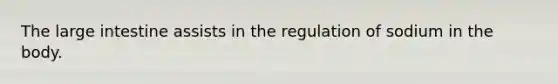 The large intestine assists in the regulation of sodium in the body.