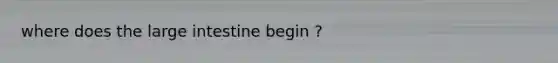 where does the large intestine begin ?
