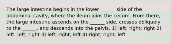 The large intestine begins in the lower ______ side of the abdominal cavity, where the ileum joins the cecum. From there, the large intestine ascends on the ______ side, crosses obliquely to the ______, and descends into the pelvis. 1) left; right; right 2) left; left; right 3) left; right; left 4) right; right; left