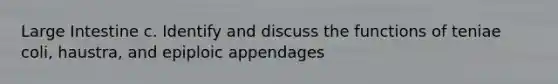 Large Intestine c. Identify and discuss the functions of teniae coli, haustra, and epiploic appendages