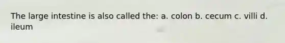 The large intestine is also called the: a. colon b. cecum c. villi d. ileum