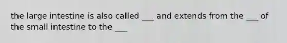 the large intestine is also called ___ and extends from the ___ of the small intestine to the ___
