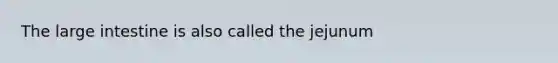 The large intestine is also called the jejunum