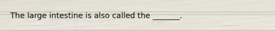 The large intestine is also called the _______.