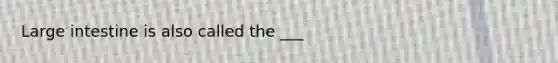 Large intestine is also called the ___