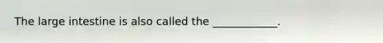 The <a href='https://www.questionai.com/knowledge/kGQjby07OK-large-intestine' class='anchor-knowledge'>large intestine</a> is also called the ____________.
