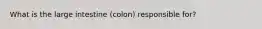 What is the large intestine (colon) responsible for?