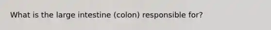 What is the large intestine (colon) responsible for?