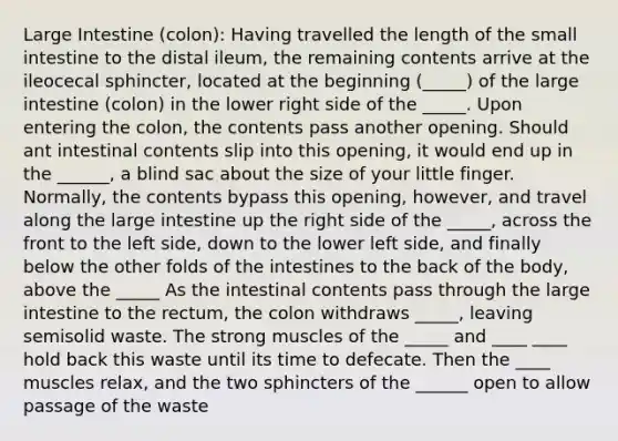 Large Intestine (colon): Having travelled the length of the small intestine to the distal ileum, the remaining contents arrive at the ileocecal sphincter, located at the beginning (_____) of the large intestine (colon) in the lower right side of the _____. Upon entering the colon, the contents pass another opening. Should ant intestinal contents slip into this opening, it would end up in the ______, a blind sac about the size of your little finger. Normally, the contents bypass this opening, however, and travel along the large intestine up the right side of the _____, across the front to the left side, down to the lower left side, and finally below the other folds of the intestines to the back of the body, above the _____ As the intestinal contents pass through the large intestine to the rectum, the colon withdraws _____, leaving semisolid waste. The strong muscles of the _____ and ____ ____ hold back this waste until its time to defecate. Then the ____ muscles relax, and the two sphincters of the ______ open to allow passage of the waste