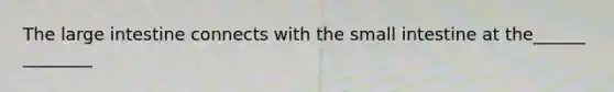 The large intestine connects with the small intestine at the______ ________