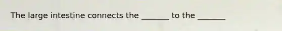 The <a href='https://www.questionai.com/knowledge/kGQjby07OK-large-intestine' class='anchor-knowledge'>large intestine</a> connects the _______ to the _______