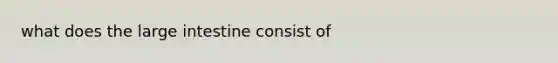 what does the <a href='https://www.questionai.com/knowledge/kGQjby07OK-large-intestine' class='anchor-knowledge'>large intestine</a> consist of