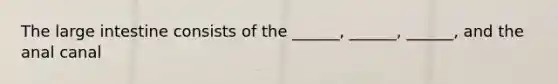 The <a href='https://www.questionai.com/knowledge/kGQjby07OK-large-intestine' class='anchor-knowledge'>large intestine</a> consists of the ______, ______, ______, and the anal canal