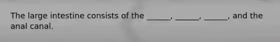 The large intestine consists of the ______, ______, ______, and the anal canal.