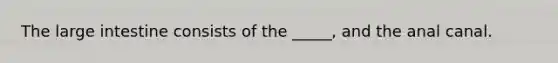 The large intestine consists of the _____, and the anal canal.