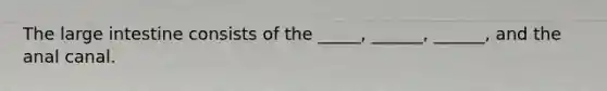 The large intestine consists of the _____, ______, ______, and the anal canal.