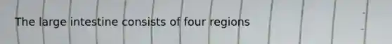 The large intestine consists of four regions