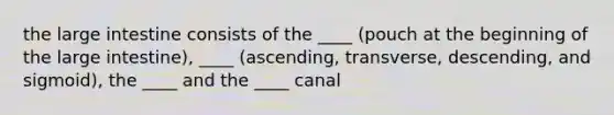 the large intestine consists of the ____ (pouch at the beginning of the large intestine), ____ (ascending, transverse, descending, and sigmoid), the ____ and the ____ canal