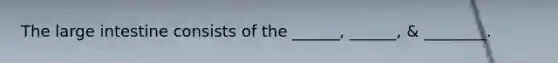 The large intestine consists of the ______, ______, & ________.