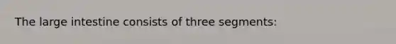 The large intestine consists of three segments: