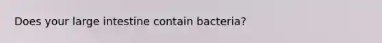 Does your large intestine contain bacteria?