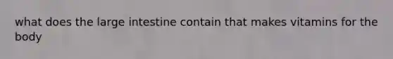 what does the large intestine contain that makes vitamins for the body