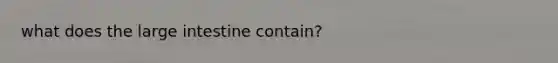 what does the large intestine contain?