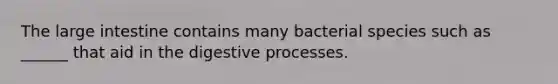 The large intestine contains many bacterial species such as ______ that aid in the digestive processes.