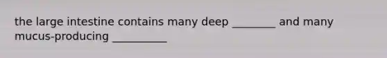 the large intestine contains many deep ________ and many mucus-producing __________