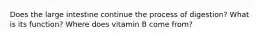 Does the large intestine continue the process of digestion? What is its function? Where does vitamin B come from?