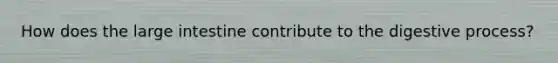 How does the large intestine contribute to the digestive process?