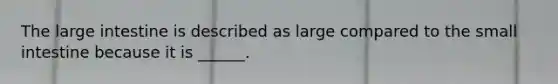 The <a href='https://www.questionai.com/knowledge/kGQjby07OK-large-intestine' class='anchor-knowledge'>large intestine</a> is described as large compared to <a href='https://www.questionai.com/knowledge/kt623fh5xn-the-small-intestine' class='anchor-knowledge'>the small intestine</a> because it is ______.
