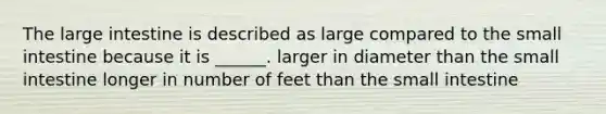 The large intestine is described as large compared to the small intestine because it is ______. larger in diameter than the small intestine longer in number of feet than the small intestine