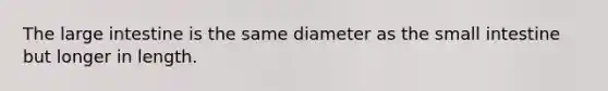 The large intestine is the same diameter as the small intestine but longer in length.