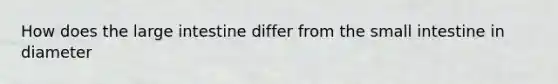 How does the large intestine differ from the small intestine in diameter