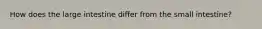 How does the large intestine differ from the small intestine?