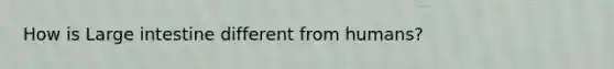How is <a href='https://www.questionai.com/knowledge/kGQjby07OK-large-intestine' class='anchor-knowledge'>large intestine</a> different from humans?