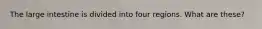 The large intestine is divided into four regions. What are these?