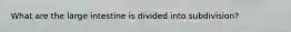 What are the large intestine is divided into subdivision?